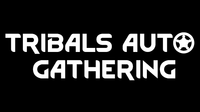 VFE Tribals Auto Gathering