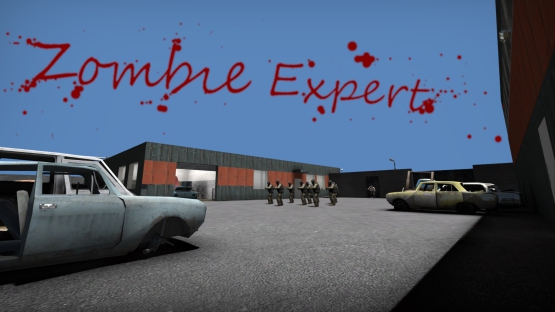 Zombie Expert 2020 (csgo_legacy)