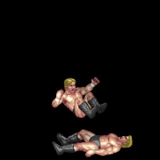 顔面低空ドロップキックB / Low Dropkick to Face B