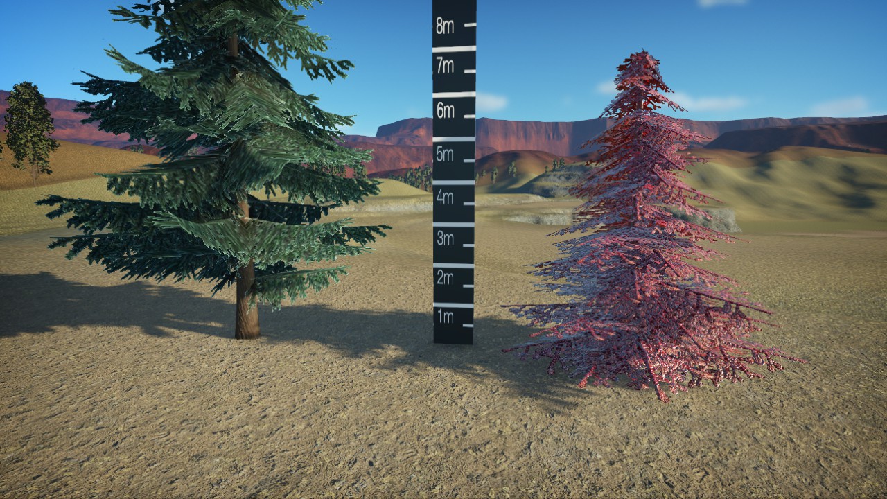 Lungbranch Pine