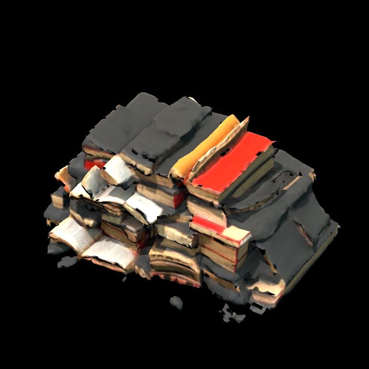 Burned books pile 1