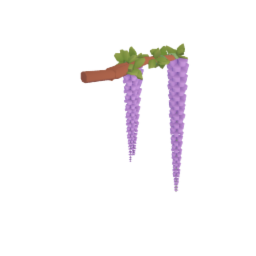Wisteria 3