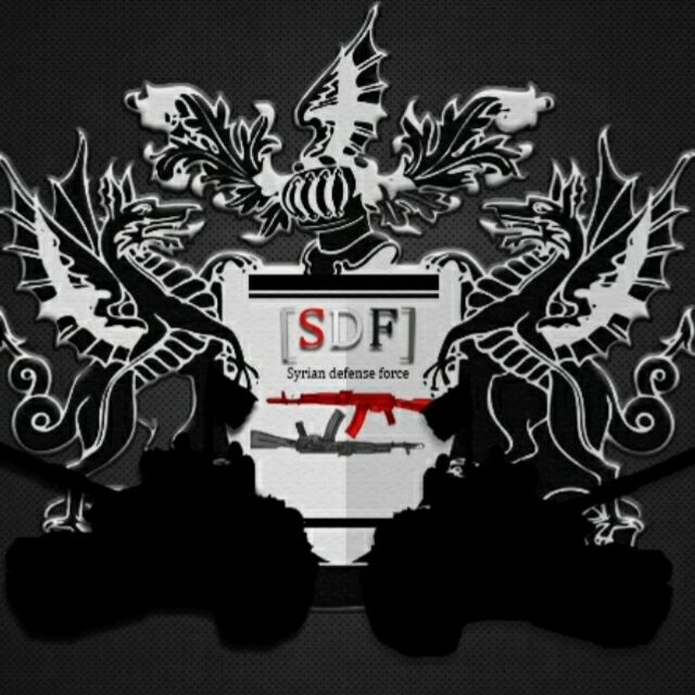 SDFZ[Discard]