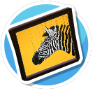 Yellow Zebra