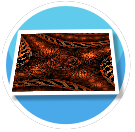 Orange Fractal
