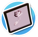 Pink Painted Rose