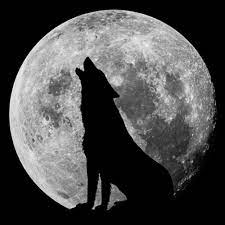 My Lone Wolf (DE)