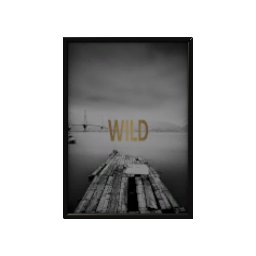 Big Framed Artwork- V4
