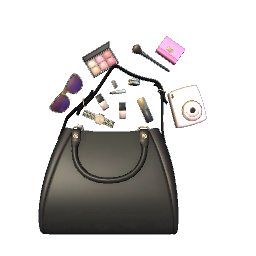 Purse and Contents- Black