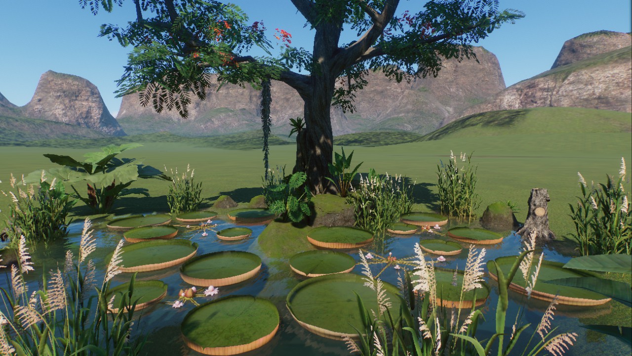 Tropical Pond 3