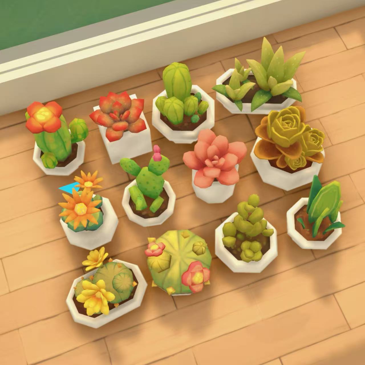 [SHEEP] Succulent set