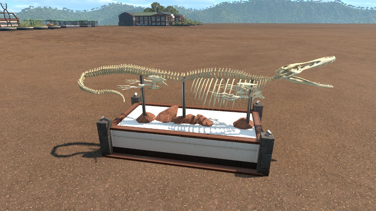 Mosasaur Display