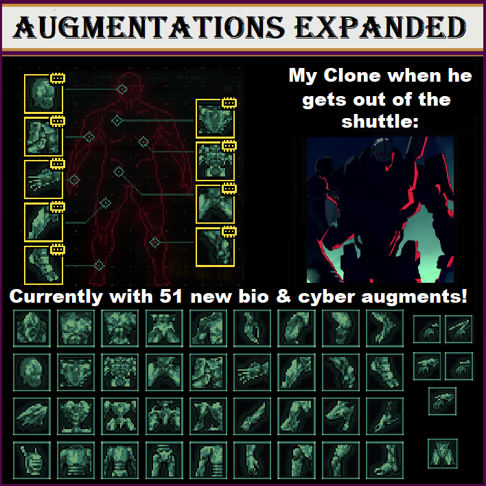 Augmentations Expanded