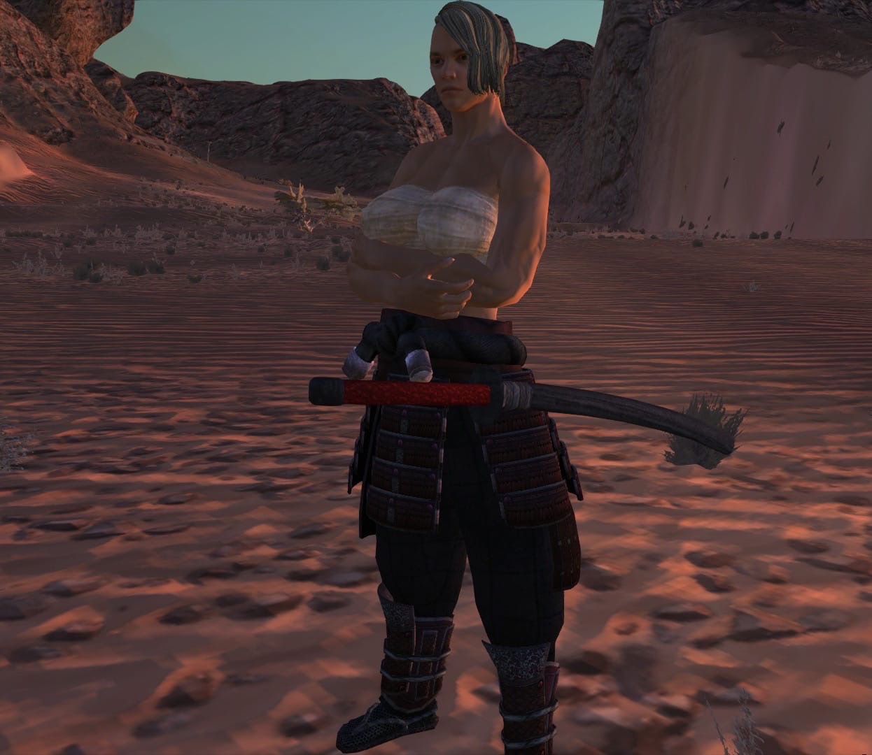Nodachi equippable at the hip.