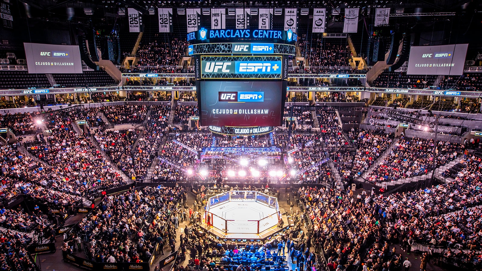 ufc ring