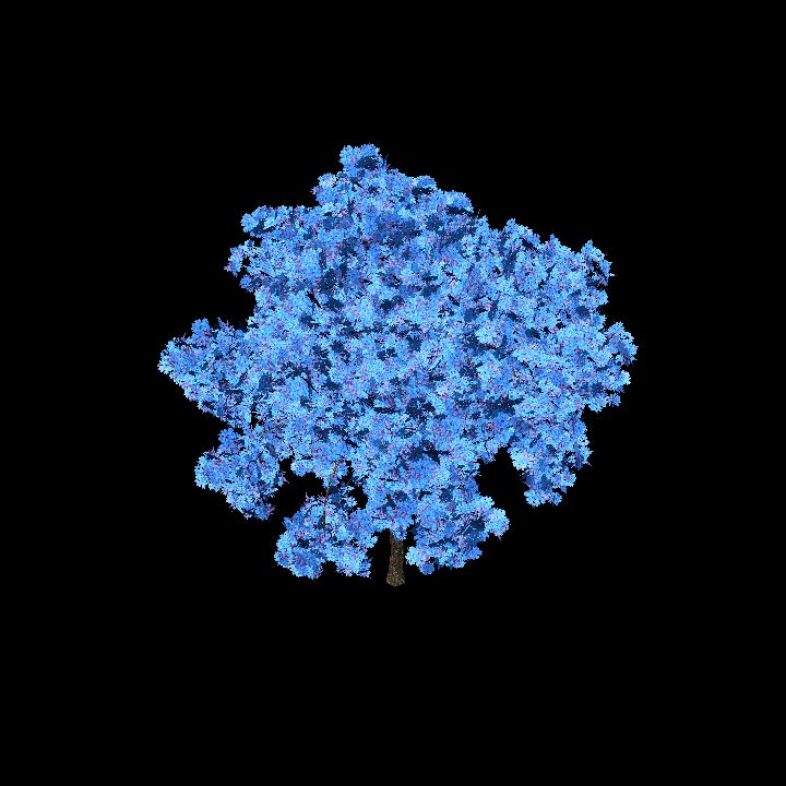 BlueFlowerTree