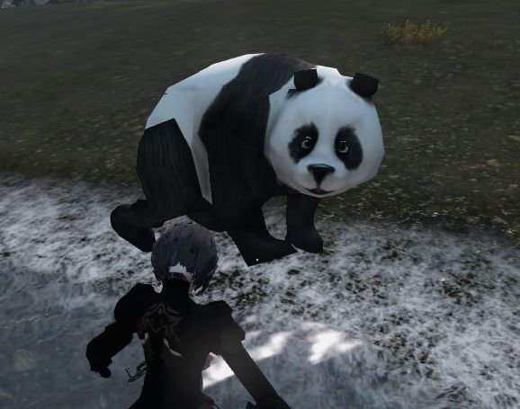XXS授权熊猫-胖达-panda-zmb