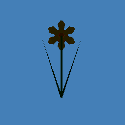 daffodil