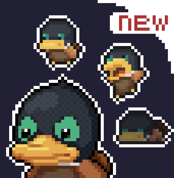 The Thief Duck