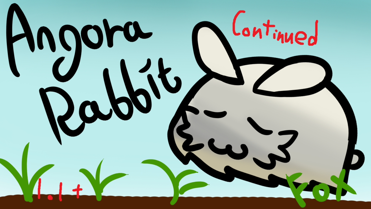Angora Rabbits