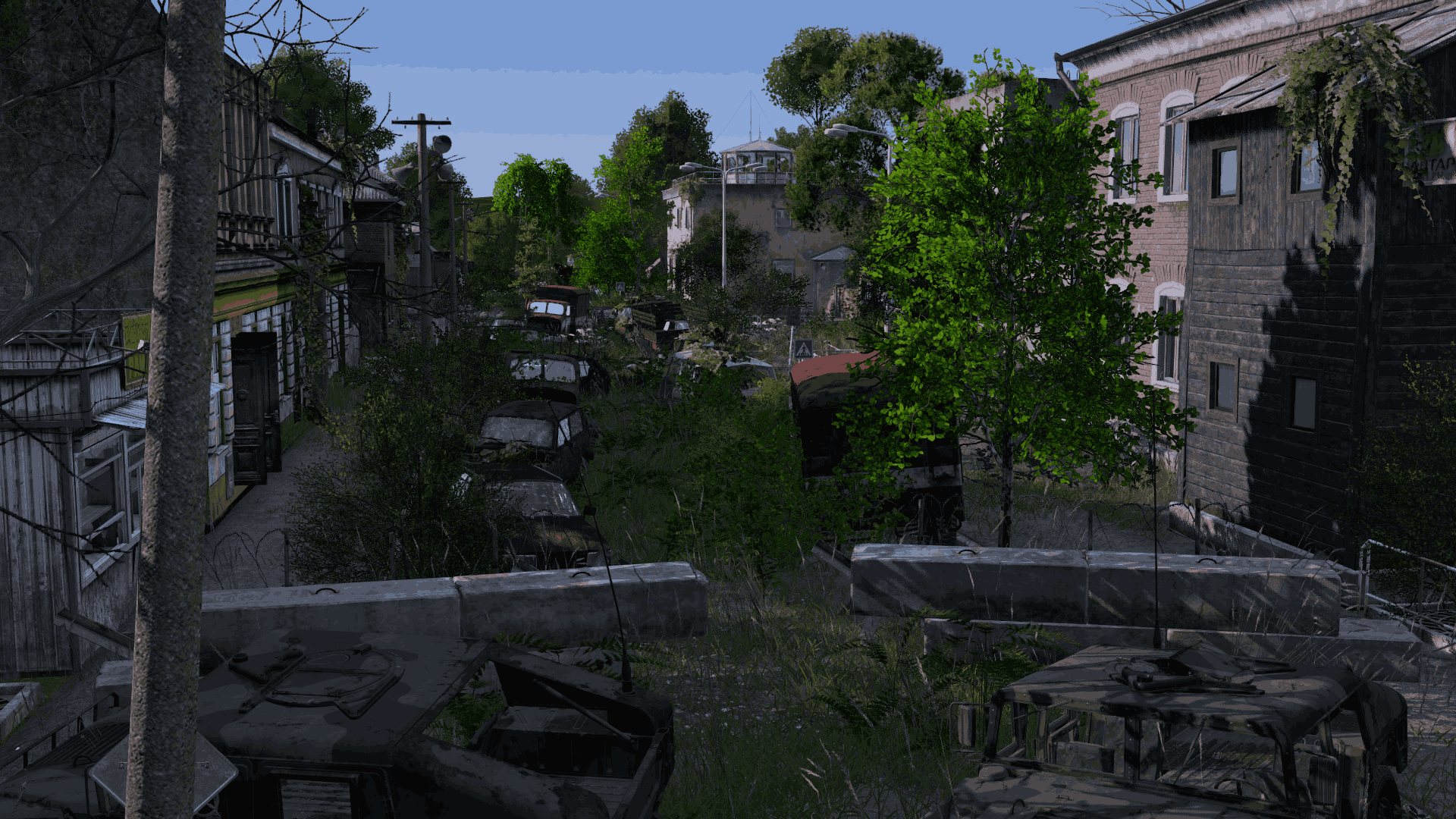 Overgrown Chernarus road