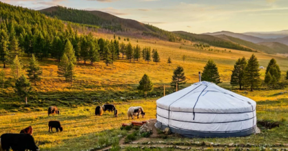 Mongolia Women D1