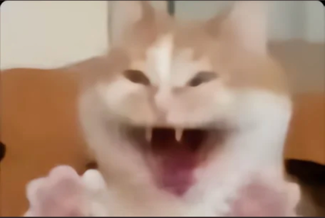 YLCM_original