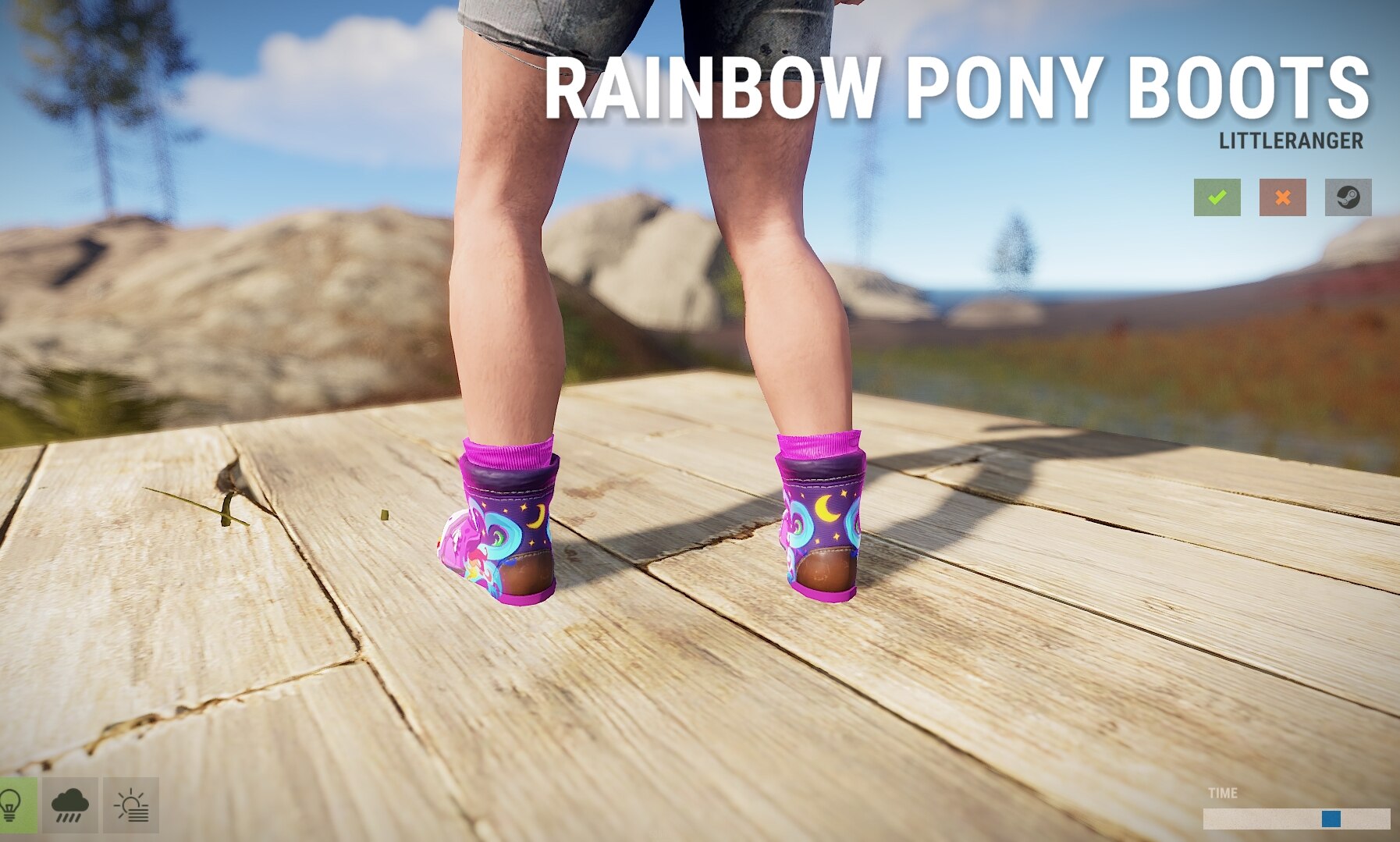 Rainbow Pony Boots