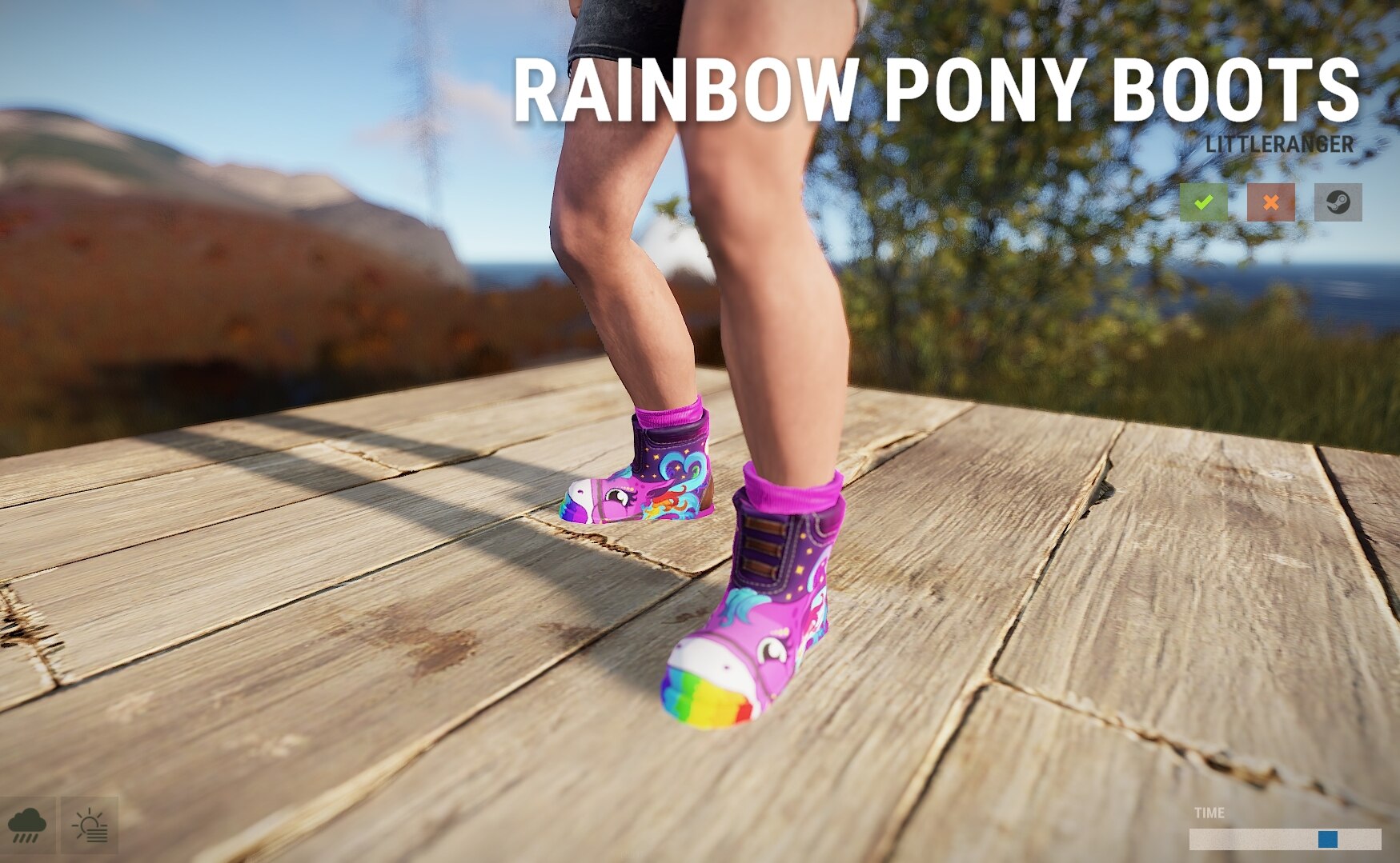 Rainbow Pony Boots