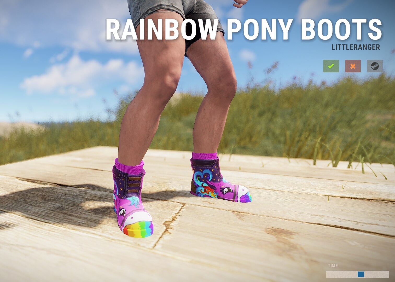 Rainbow Pony Boots