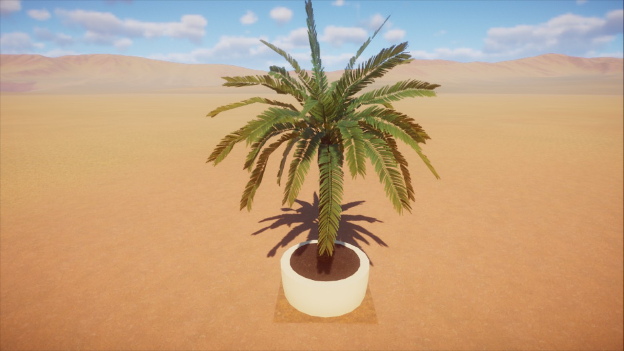 Palmtree big