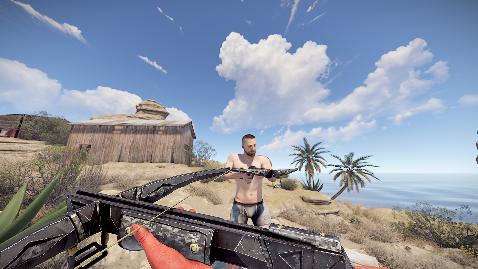 Shadowstrike Crossbow