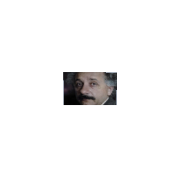 art for self build Albert Einstein