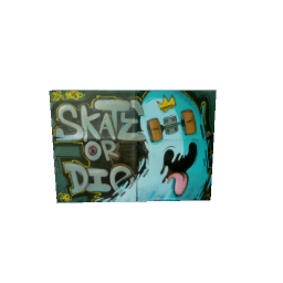 skater picture preview