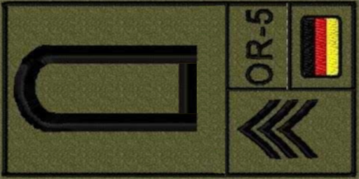 Bundeswehr_Dienstgrade_NATO_Code