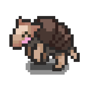 Friendly Armadillo