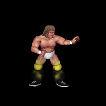 The Texas Tornado