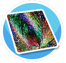 Peacock Bright Rug