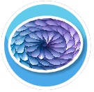CIRCLE COLOUR SPIRAL RUG