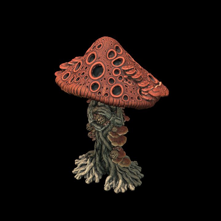 MYCONID SEER