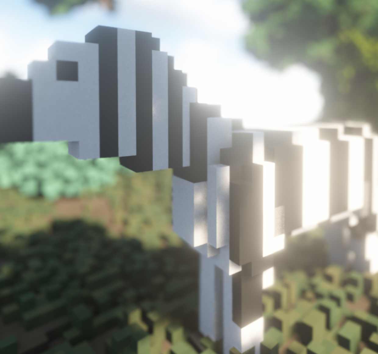 Zebra | Зебра
