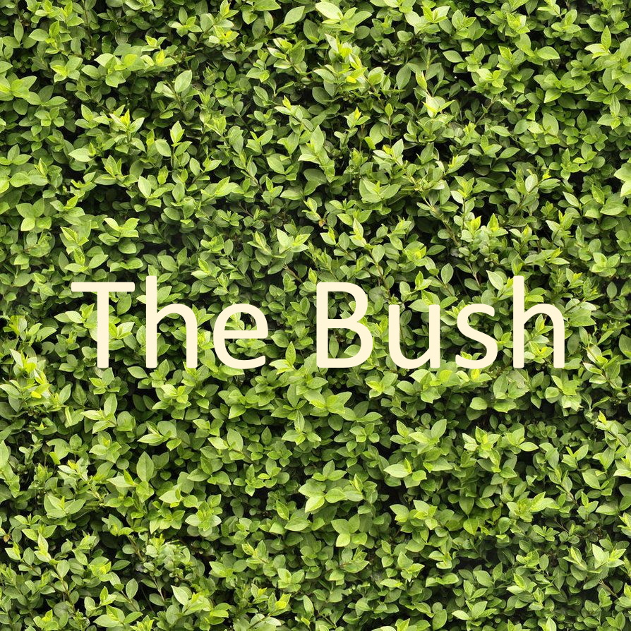 The Bush