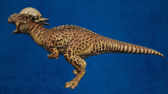 Female Veiled Pachycephalosaurus (Free drop)