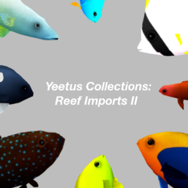 Yeetus Collections - Reef Imports II