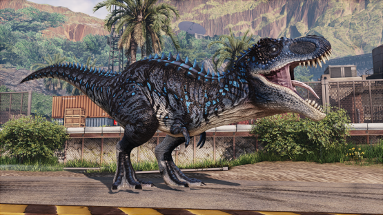 Dissensus Rex