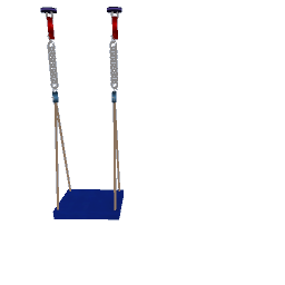 PT swing preview