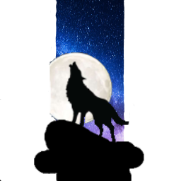 Wolf and Moon