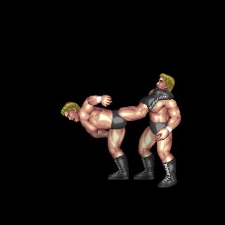 Anti Air Super Kick