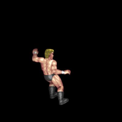 着地型ドロップキック/Landing Drop Kick