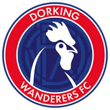 Dorking Wanderers FC 990 Milhoes euros sem dividas